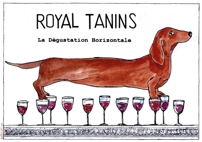 AFFICHE TECKEL 30 X 40 CM 